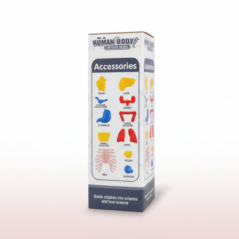 Box of cartoon body accessories on a wooden surface